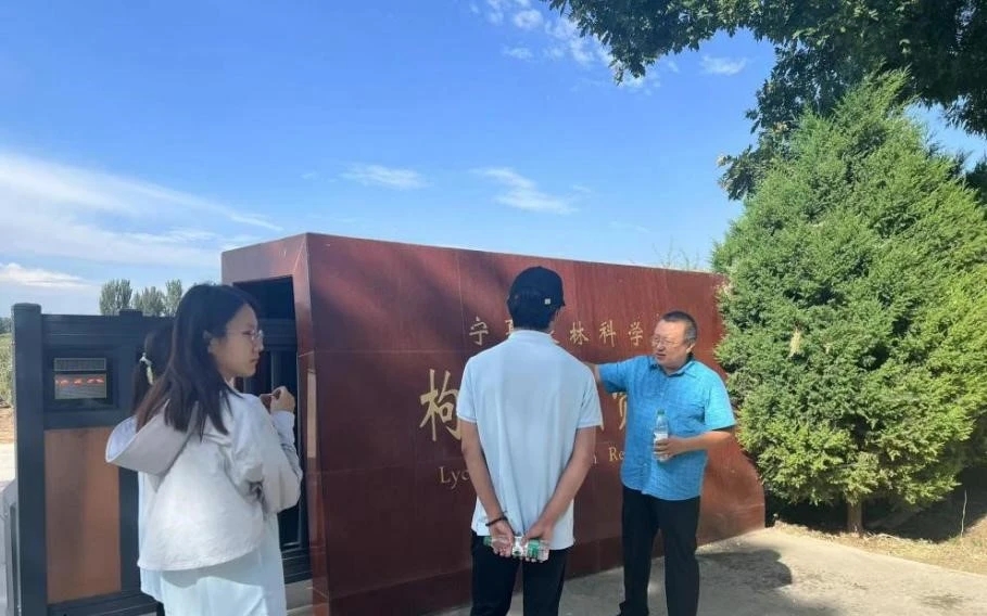 【暑期社会实践（六）】聚“枸杞之力”，助乡村振兴