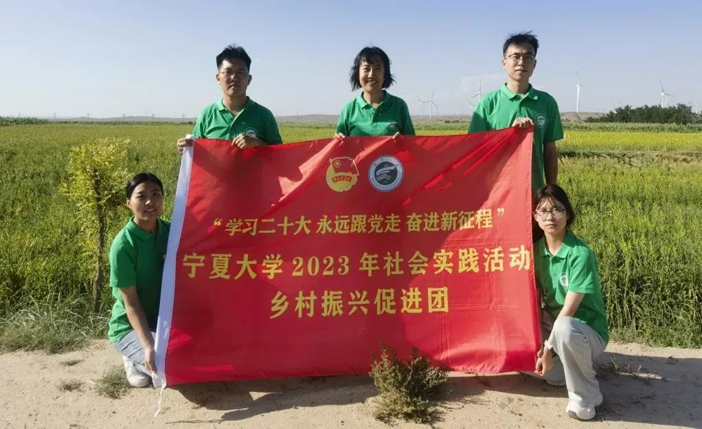 “三下乡”丨致富黄花：铺就乡村振兴之路——智绘乡村实践团赴红寺堡买河村开展调研活动